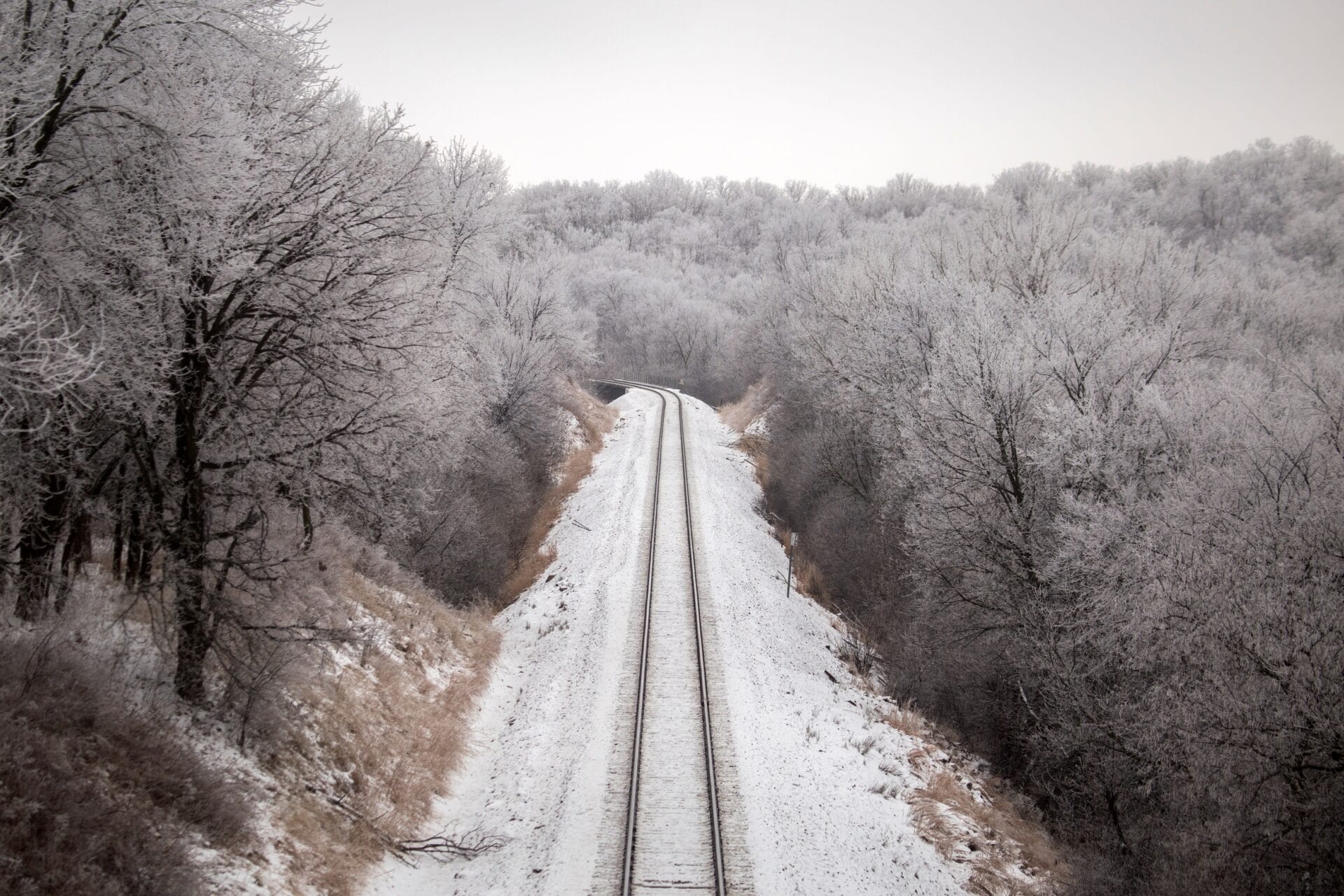 Frosted trees lining Train tracks at Camden.