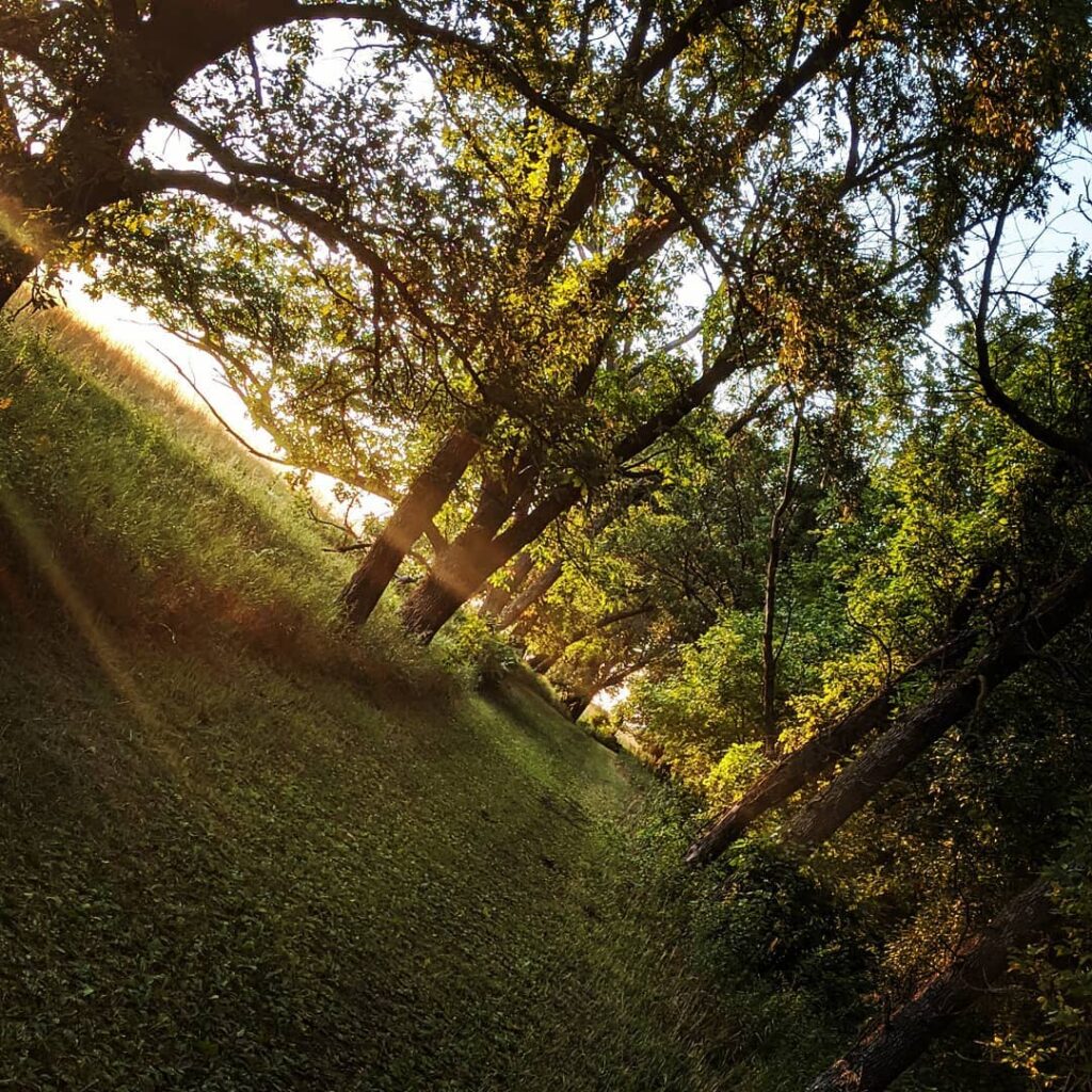 Camden State Park - Summer Hiking Path
