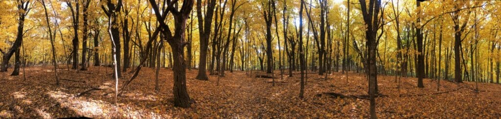 Camden State Park - Fall Foliage Panoramic Photo
