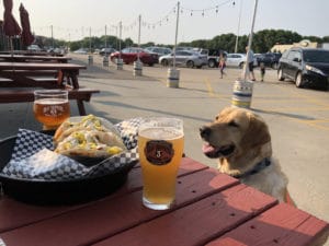 Brau Dog with Tacos