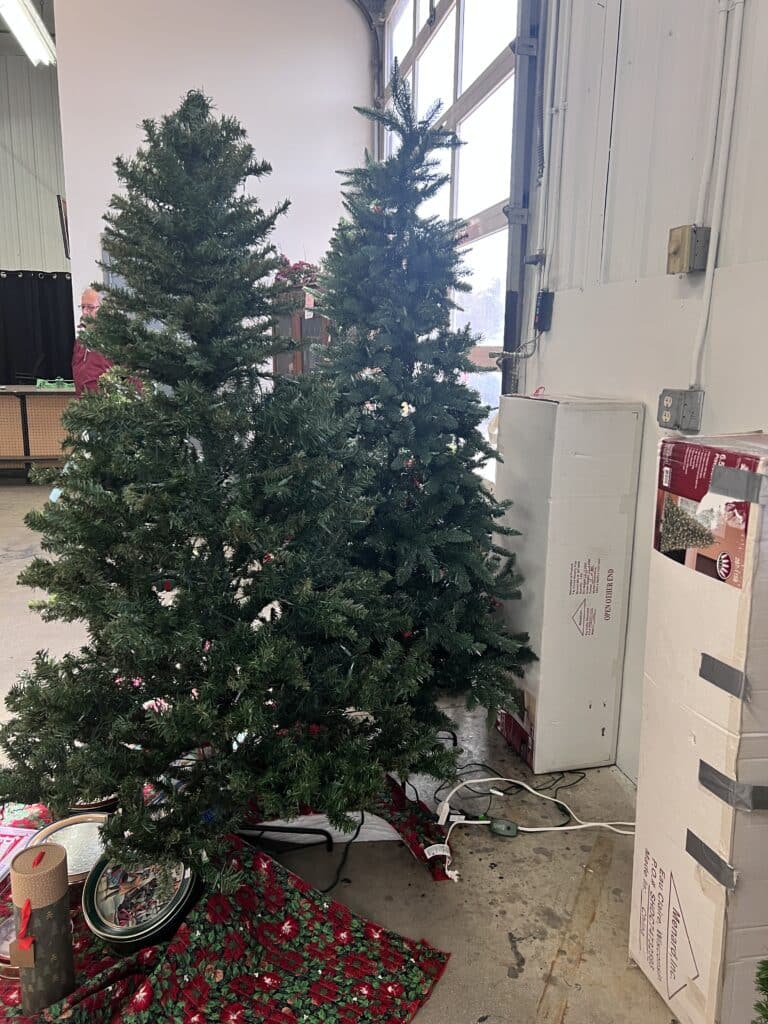 https://visitmarshallmn.com/wp-content/uploads/2023/03/Habitat-Restore-Christmas-trees-768x1024.jpg