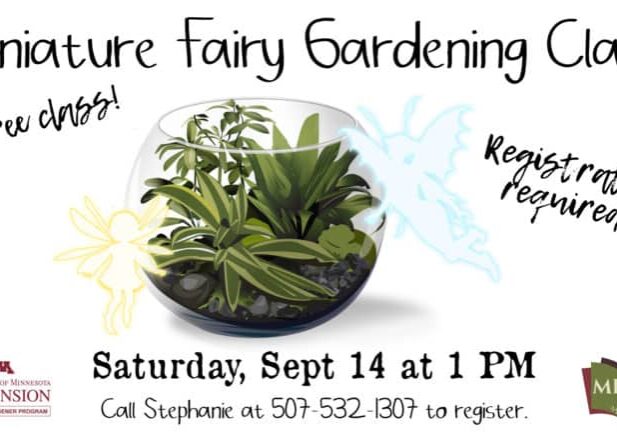 2024 09 14 fairy garden ppt