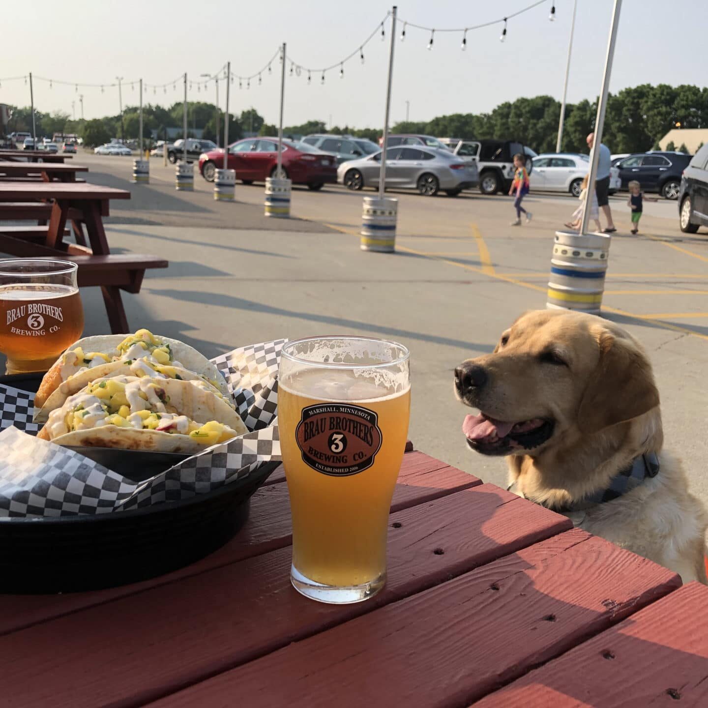 Brau Dog with Tacos