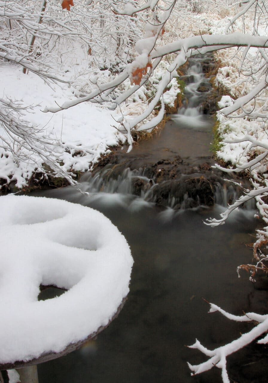 Snowy Creek at Camden taken by Jon Wood